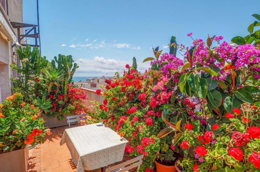 Zahrada ubytování Secret Garden Apartment by Hello Homes Sitges