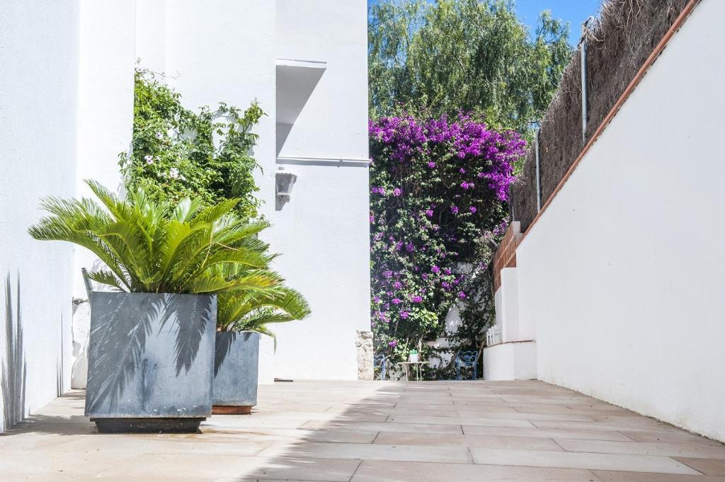Zahrada ubytování Studio Relax by Hello Homes Sitges