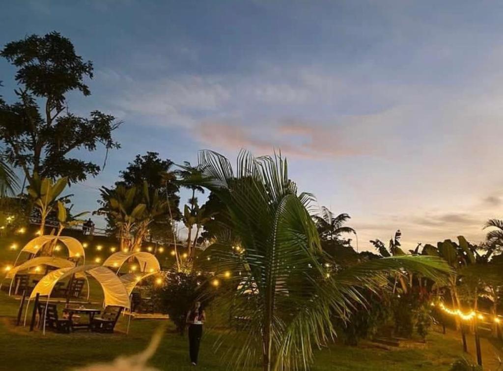 蒙特內格羅的住宿－Hotel Campestre Veredal - Quindío - Eje Cafetero，站在田野上,有帐篷和棕榈树的人