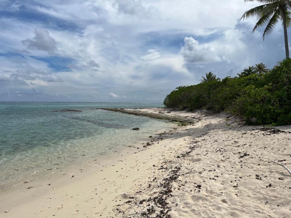 Parea Lodge Huahine BUNGALOW F2 #Miti - photo 7 - Huahine, Polynésie
