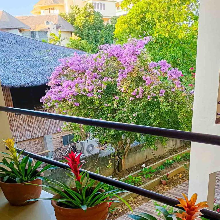 Lukay Las Brisas - Suite