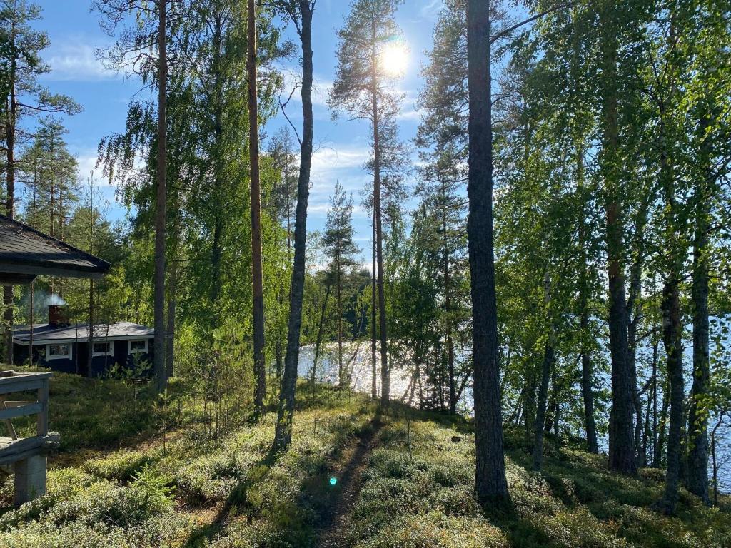 Φυσικό τοπίο κοντά σε αυτό το σαλέ