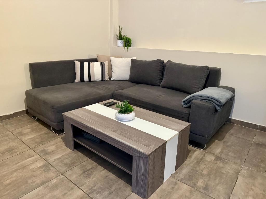 Apartmány Laubeho náměstí - 一居室公寓
