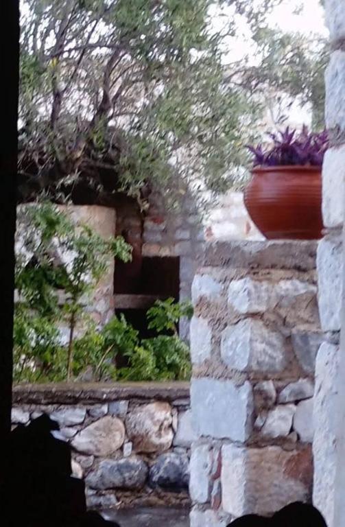Zahrada ubytování Charouda stone tower xenonas