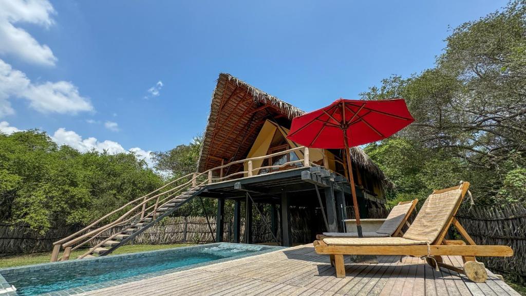 a couple of chairs and an umbrella next to a pool at Glamping Wilpattu by Thamaravila in Wilpattu