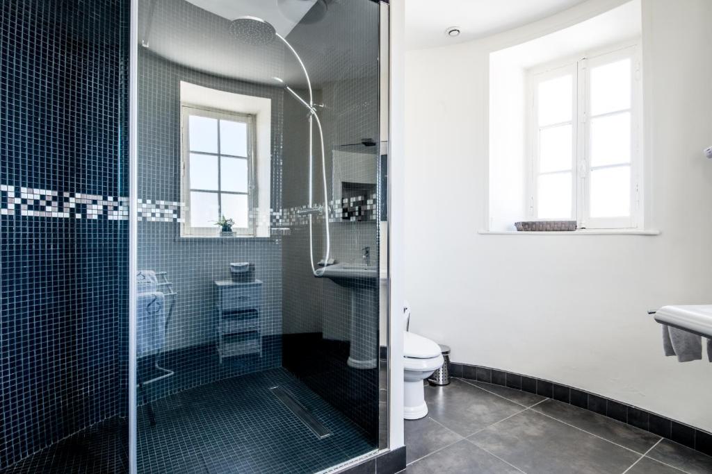 a bathroom with a shower and a toilet at Gîte Château de Seguin in Lignan-de-Bordeaux