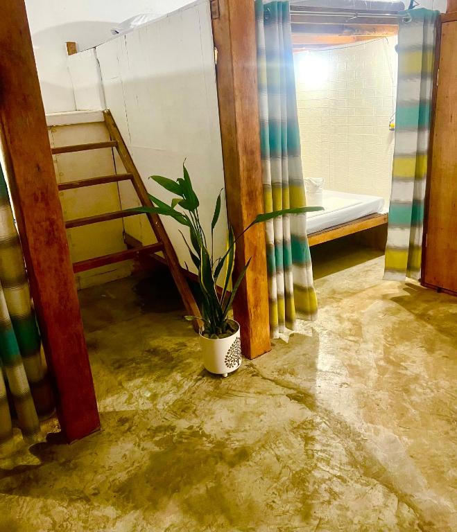 Wave retreat - Bed In 4-Bed Mixed Dormitory Room