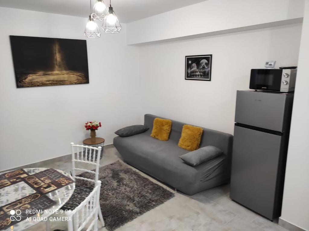 uma sala de estar com um sofá e um frigorífico em Nairda apartament em Suceava