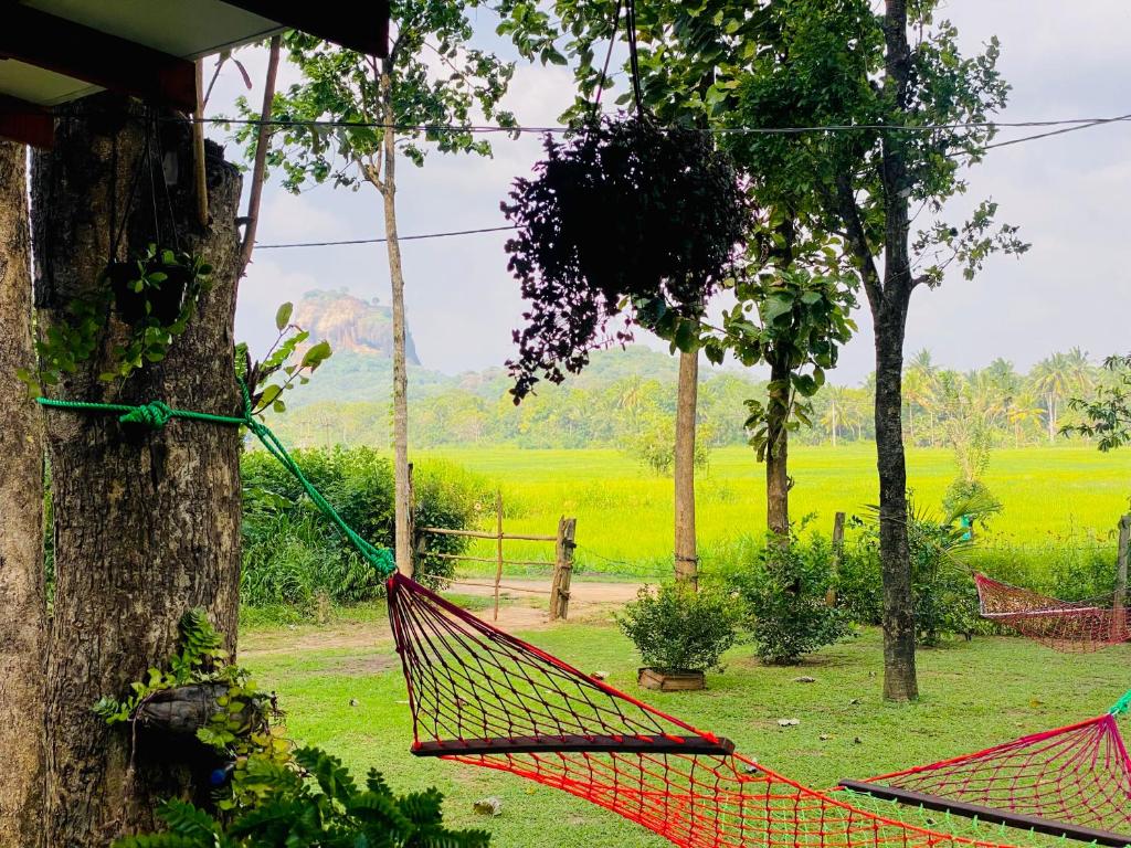 Zahrada ubytování Lucky Villa Sigiriya