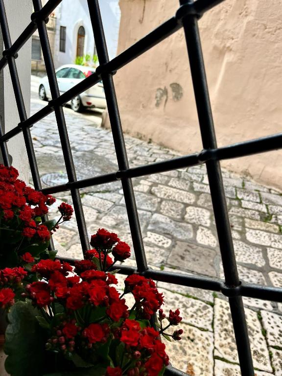 Fotografie z fotogalerie ubytování Ca'Sa' v destinaci Oria