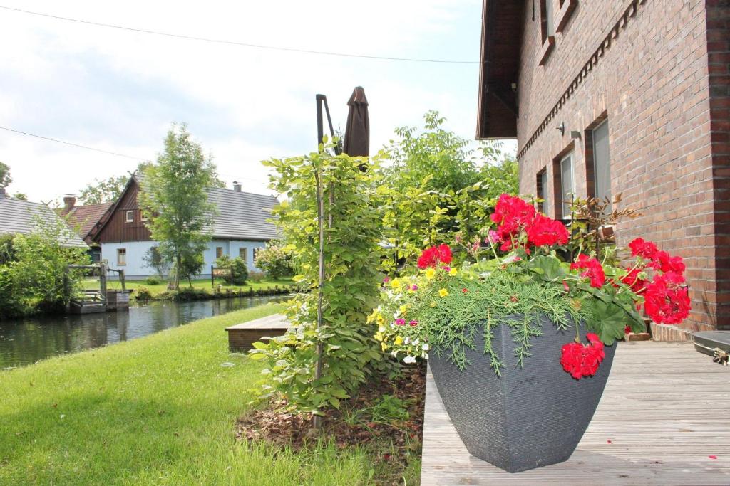 a planter with red flowers in it next to a building at Hopkas Scheune in Lehde