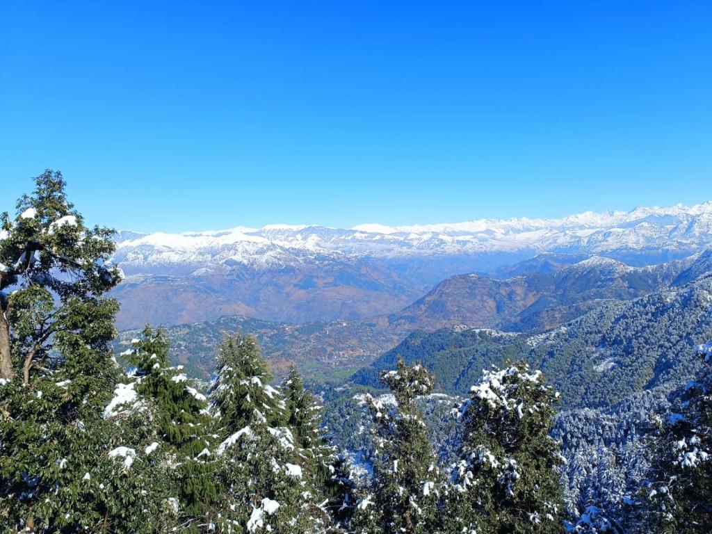 a view of a snowy mountain range with trees at Surya Resort Dalhousie in Dalhousie