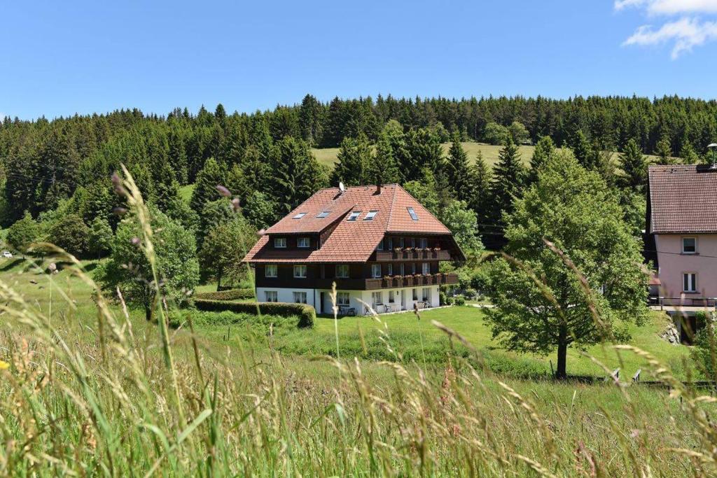 a large house in a field with trees at Hotel Hirschen in Schluchsee