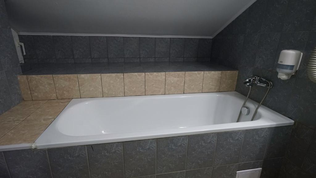 Vila Trandafirul si Liliacul - Suite Familiale De Luxe