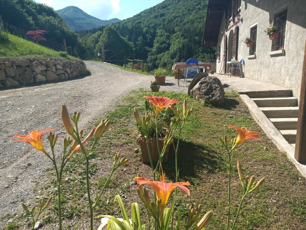 A general mountain view or a mountain view taken from a vidéki vendégházakat