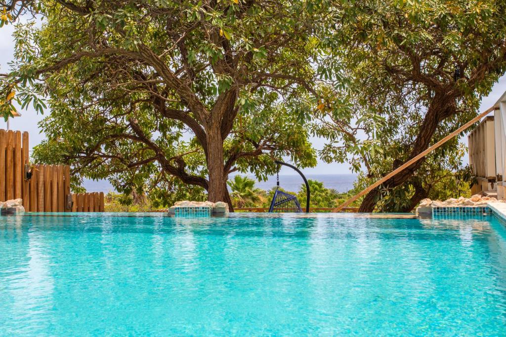 uma piscina com uma árvore e um escorrega em Villa Dol fijn huis em Willemstad