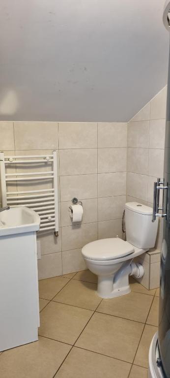 Koupelna v ubytování Pokoje w Zielonym Domku
