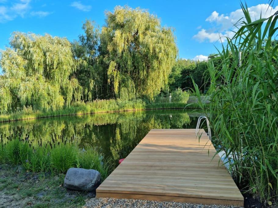Reethouse Nature Resort - Pool Sauna Swimming pond 6120 Kiskunmajsa, 108 Ötfa tanya kép - 1