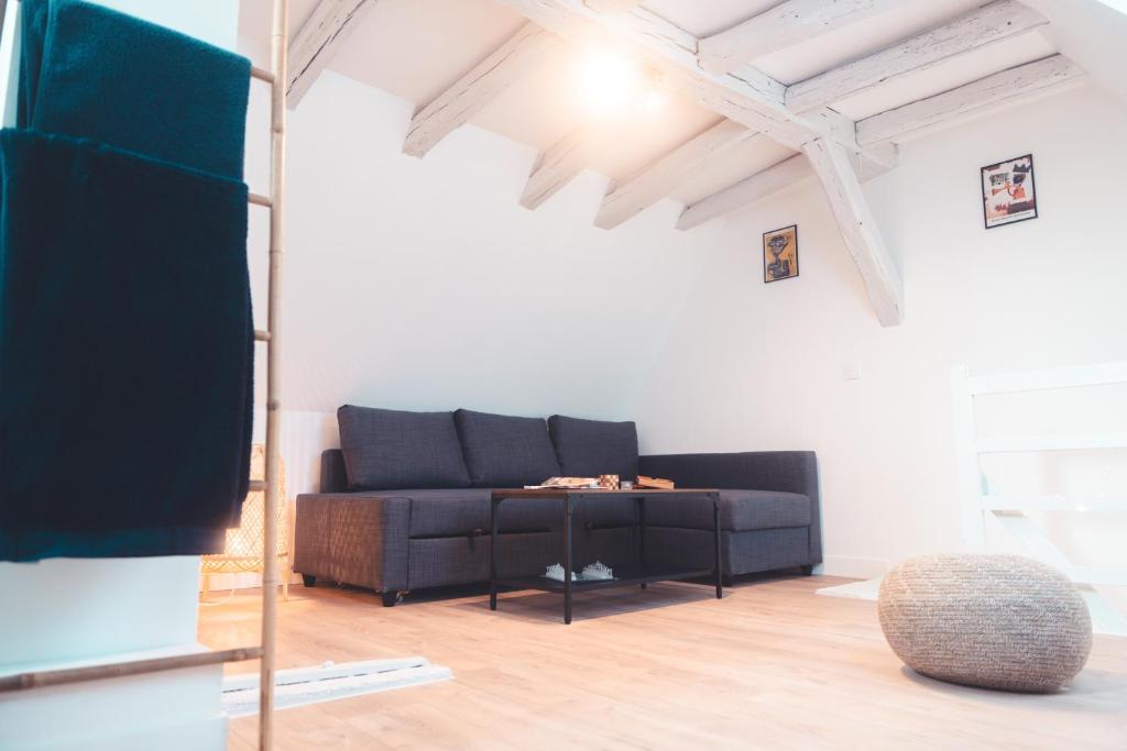 un salon avec un canapé et une table dans l'établissement Charmante Mezzanine - Lamartine, à Tours