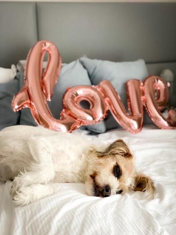 My Story Sopot Apartments - Resim 12