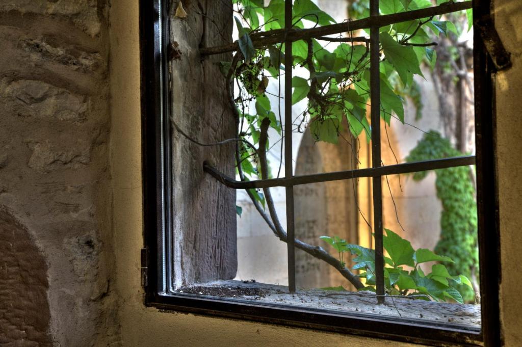 Zahrada ubytování Hotel Boutique El Convento de Mave