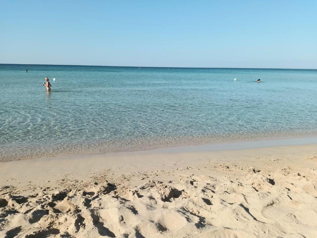 Táj Show holiday homes közelében