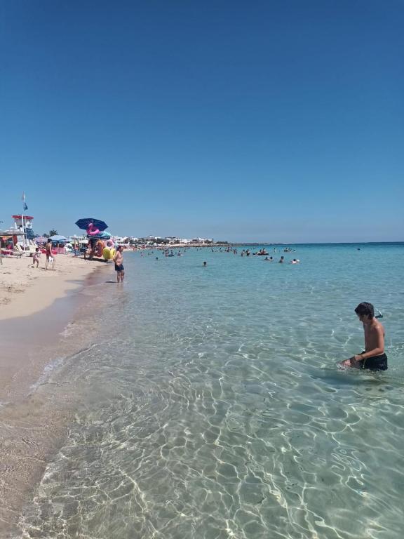 Táj Show holiday homes közelében