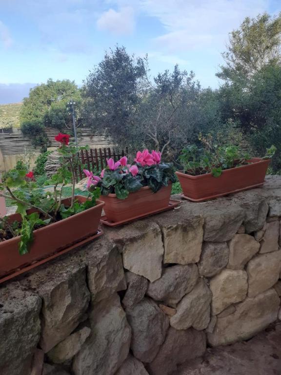 Zahrada ubytování B&B Domus Oriens - monolocale indipendente in villa