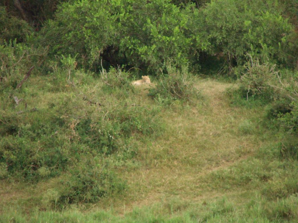 Paesaggio naturale nelle vicinanze dell'affittacamere