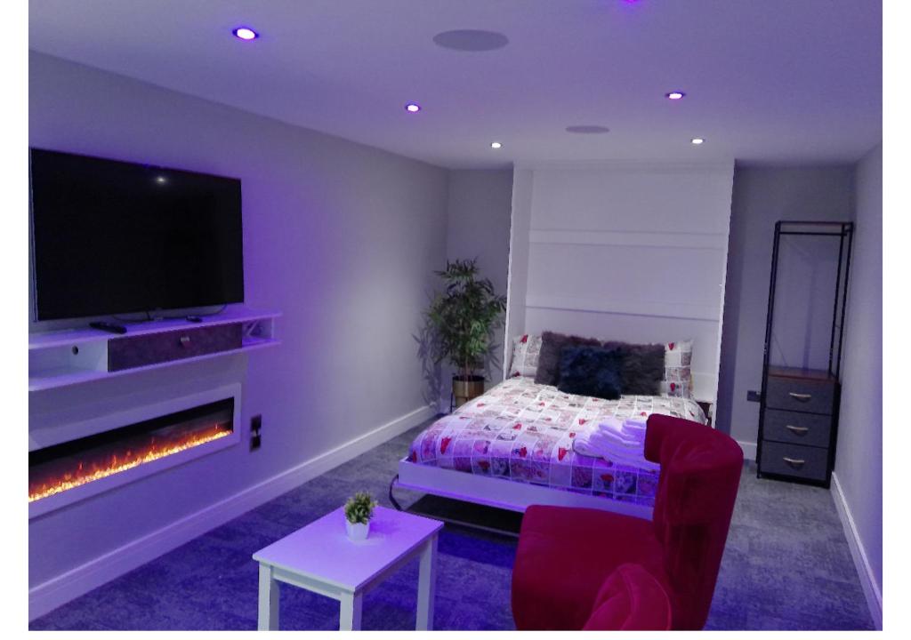 a bedroom with a bed and a tv and a fireplace at Cosy Studio in Milton Keynes