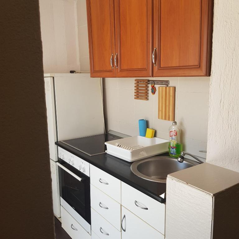 Kuchyň nebo kuchyňský kout v ubytování Apartments Nenadić