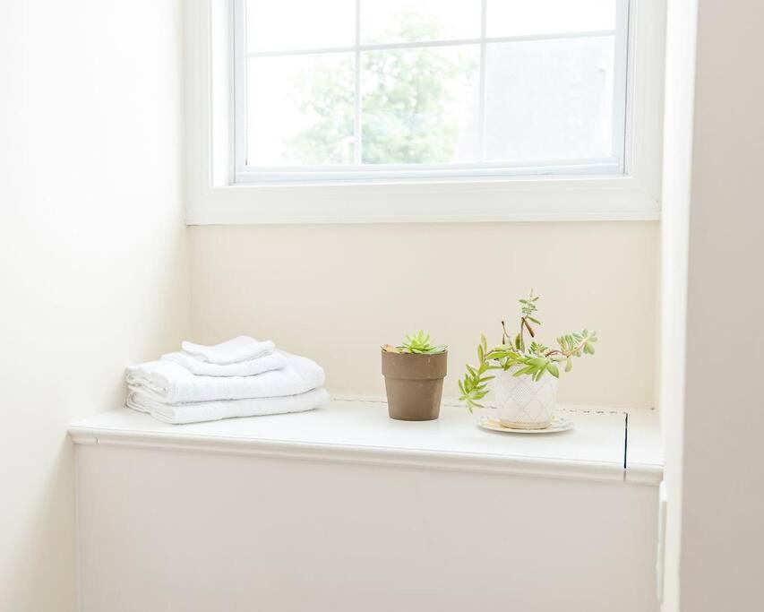 a white shelf with two plants and a window at Kinston Hideaway in Kinston