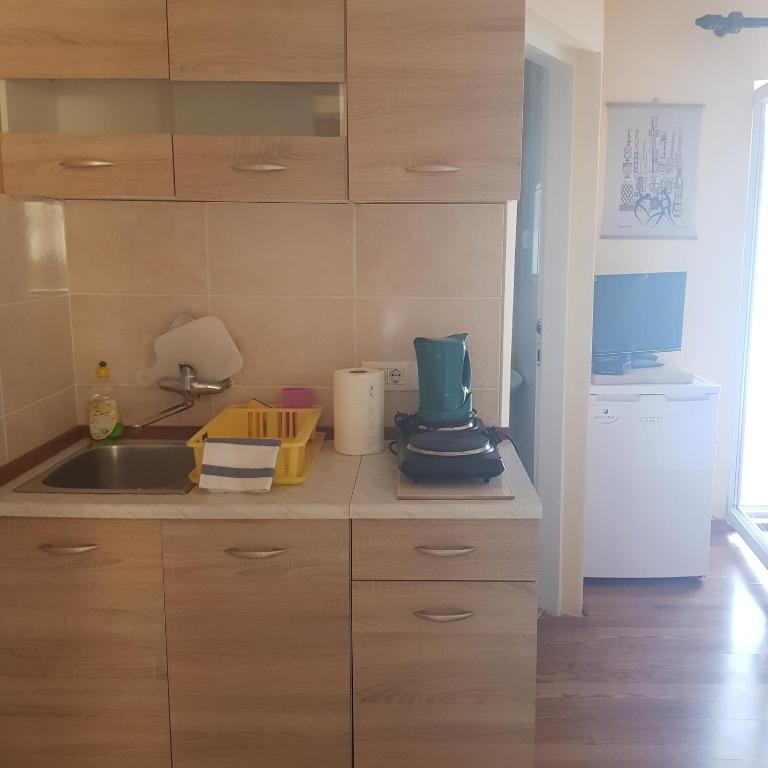 Kuchyň nebo kuchyňský kout v ubytování Apartments Nenadić