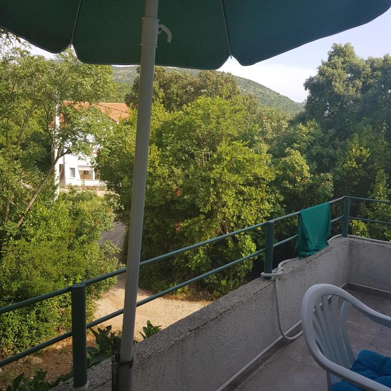 Příroda nedaleko apartmánu