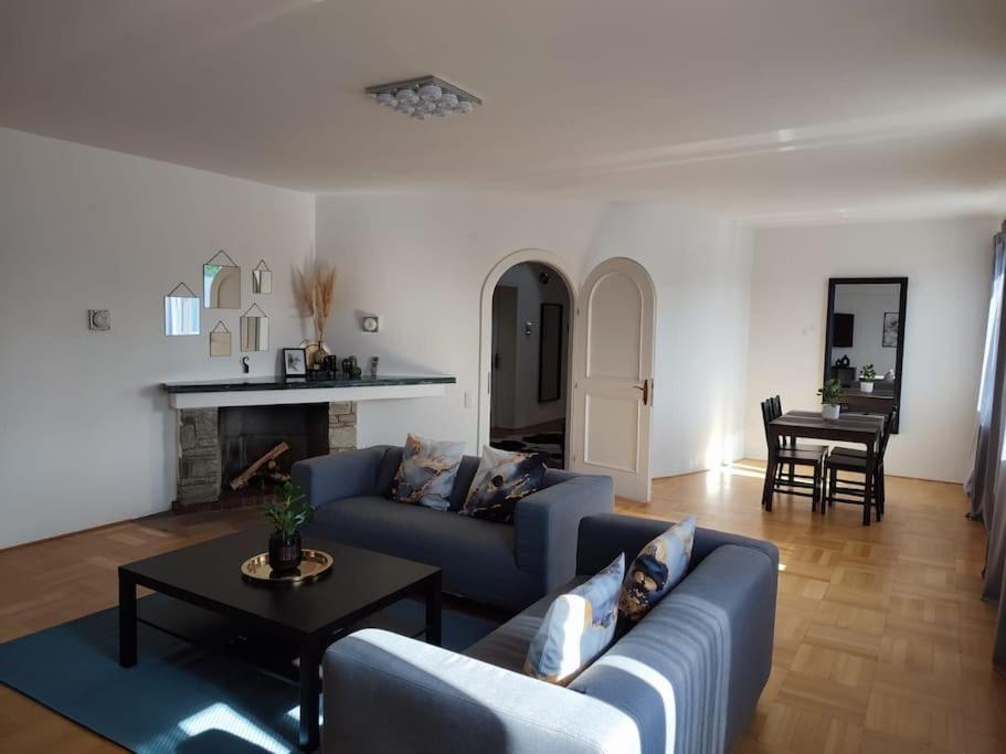 een woonkamer met een blauwe bank en een tafel bij Maisonette Wohnung 110qm in Linz. in Linz