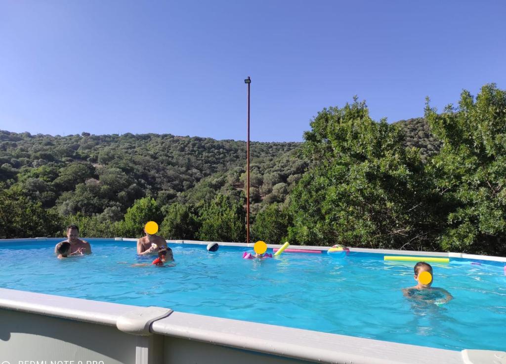 un grupo de personas jugando en una piscina en DIMORA IL CAMALEONTE, apartments in nature near the sea en Civitavecchia