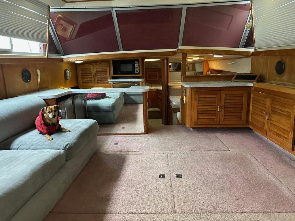 a dog sitting on a couch in a kitchen at Annapolis Boat Life - Overnight Stays in Annapolis