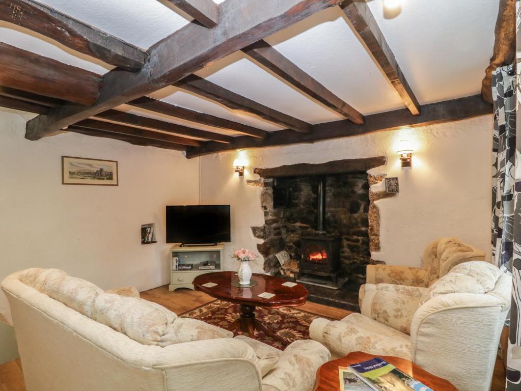 a living room with two couches and a fireplace at Dunridge Cottage in Yelverton