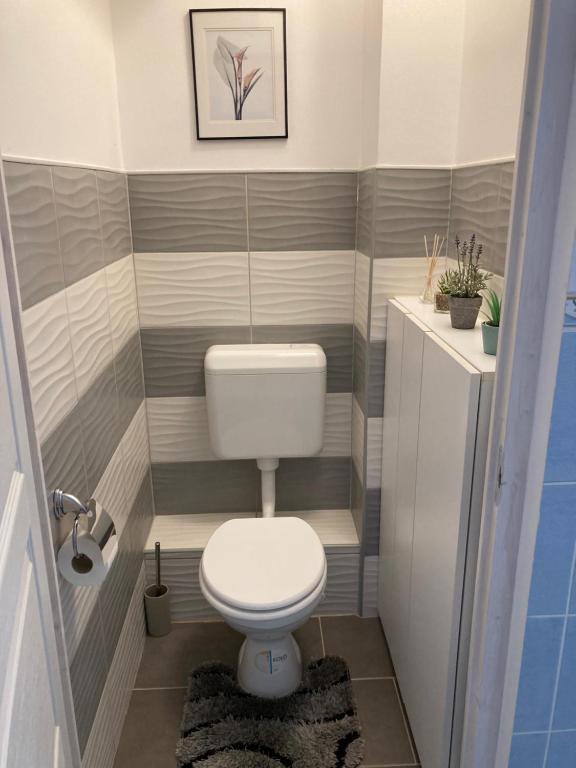 Koupelna v ubytování Esztergom apartman