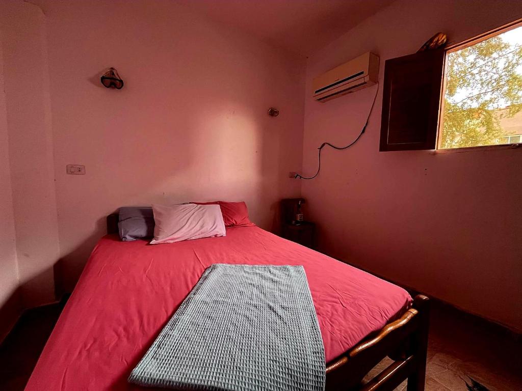 ein kleines Schlafzimmer mit einem roten Bett und einem Fenster in der Unterkunft AMFIBIANHouse in Dahab