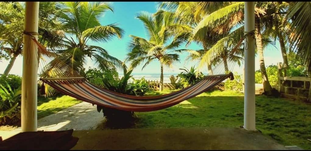 uma rede numa praia com palmeiras e o oceano em Casa Playa San Diego em San Diego