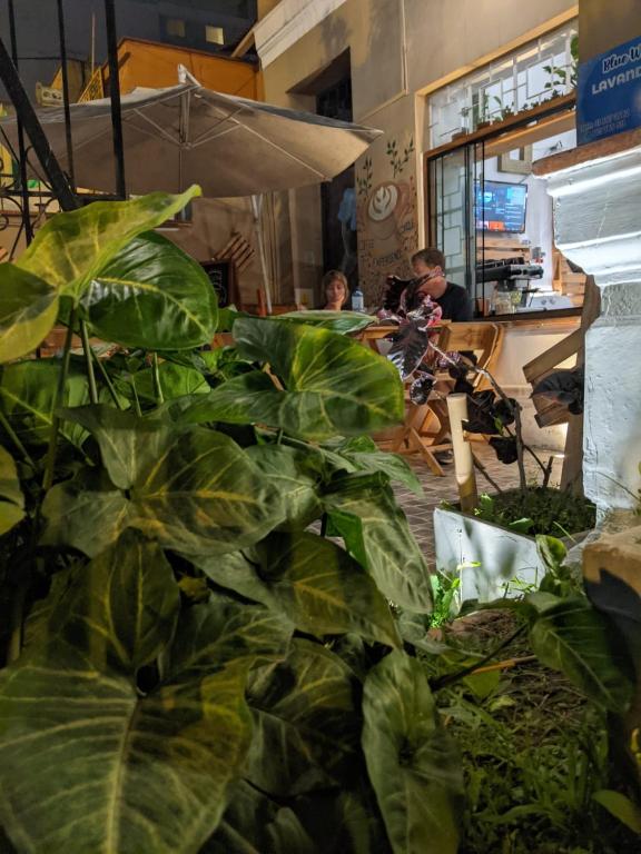 Fotografie z fotogalerie ubytování Hospedaje A Verde v destinaci Lima