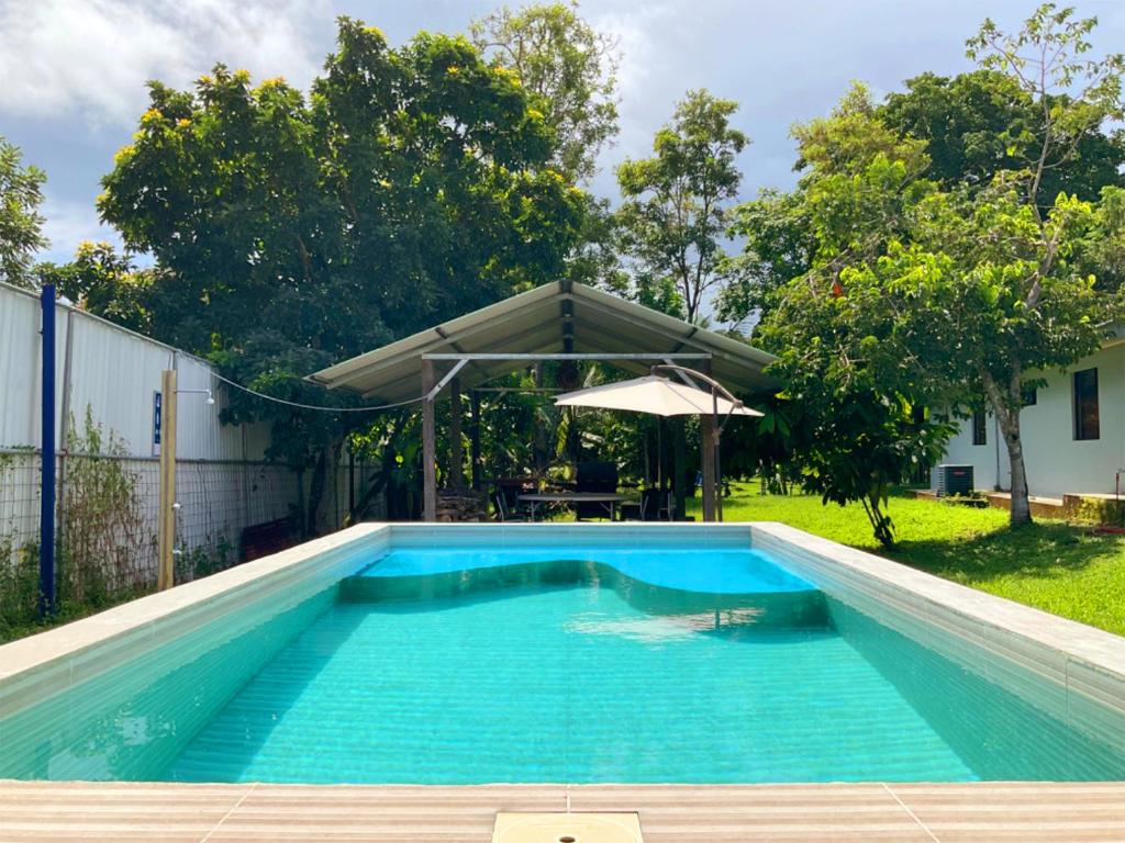 a swimming pool in a yard with an umbrella at Tropical Haus CR - La Central in Puerto Jiménez