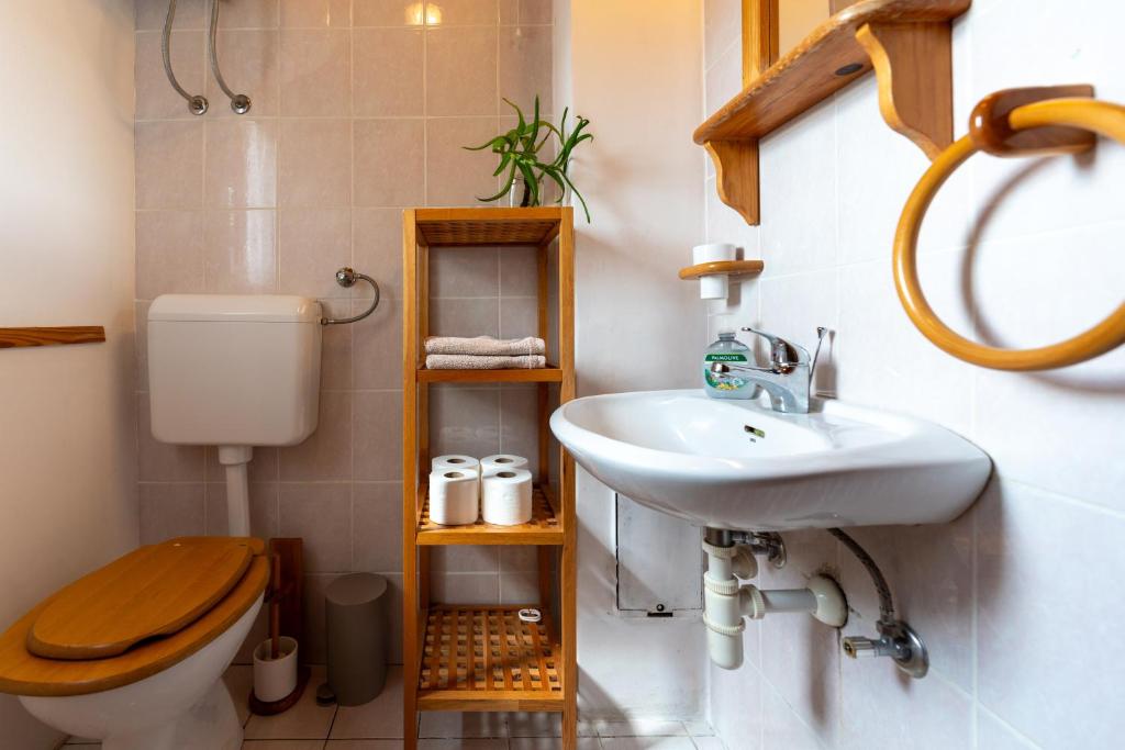 a bathroom with a sink and a toilet at Family Peace Chalet Brinovska & Scenic Mt Views in Ortnek