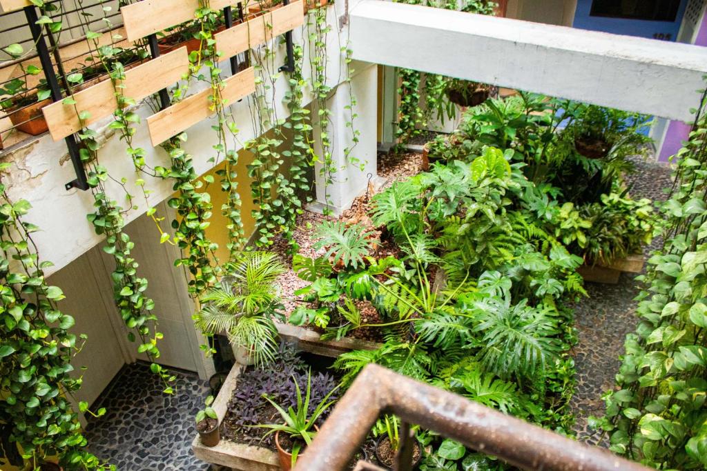 Zahrada ubytování Green Hotel Natural Medellin