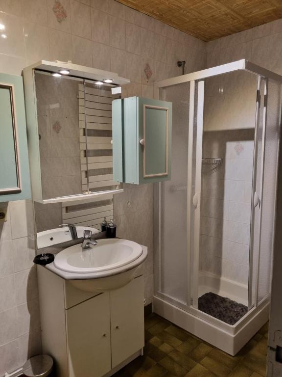 ein Bad mit einem Waschbecken und einer Dusche in der Unterkunft Maison de famille in Pré-en-Pail