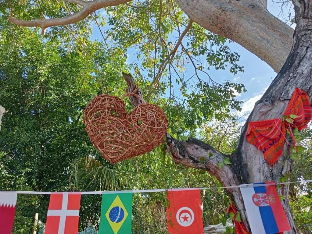 un corazón colgando de un árbol junto a las banderas en Hostal Republic, en Mérida