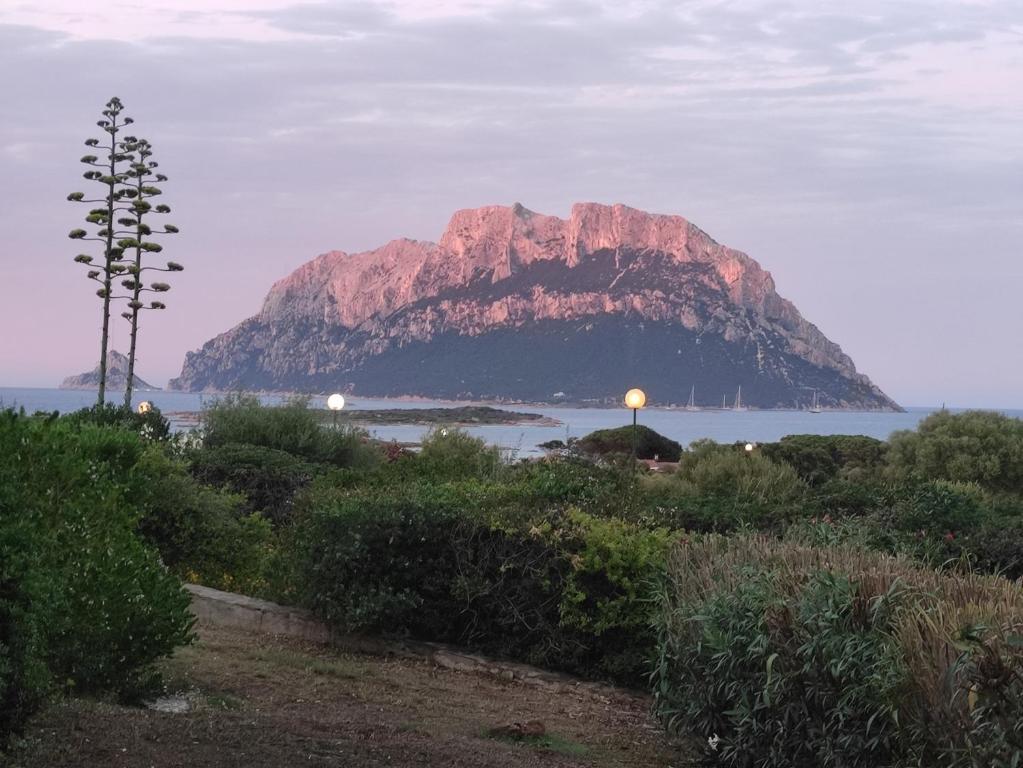 Φυσικό τοπίο κοντά σε αυτή η βίλα