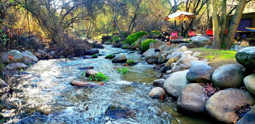 a stream of water with rocks on the side at Magical River House ! 10 min to SNP park entrance in Three Rivers