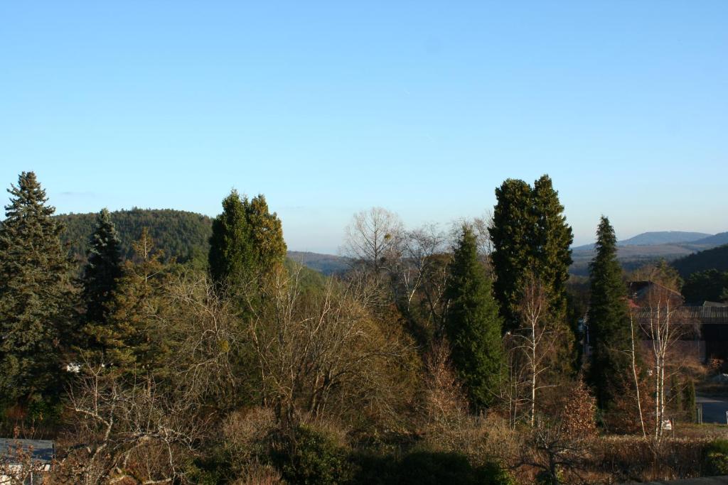 Příroda nedaleko apartmánu